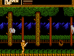 Sword Master