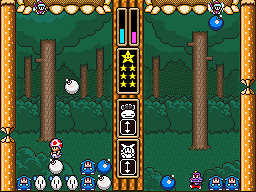 Wario's Woods