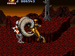 Battletoads In Battlemaniacs