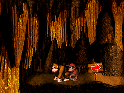 Donkey Kong Country