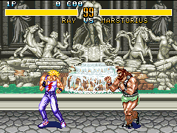 Fighter's History
