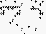 Centipede