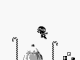 Zool