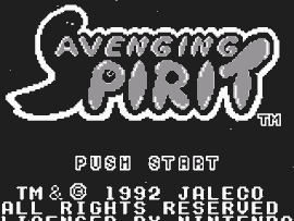 Avenging Spirit