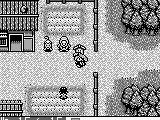 Fushigi no Dungeon: Fuurai no Shiren GB - Tsukikage-mura no Kaibutsu