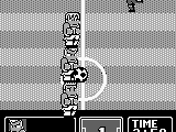 Nintendo World Cup