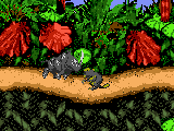 Donkey Kong Country