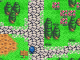 Lufia: The Legend Returns