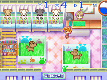 Petz Vet