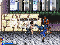 Double Dragon Advance