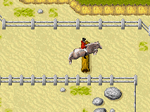 Horsez