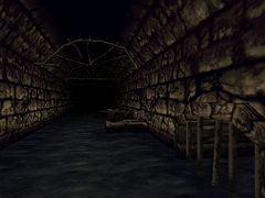 Shadowgate 64: Trials of the Four Towers