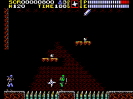 Ninja Gaiden