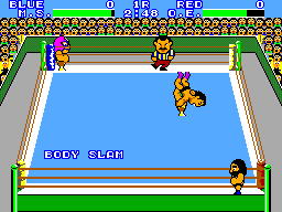 Pro Wrestling