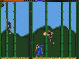 Ninja Gaiden