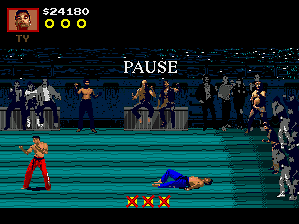 Pit-Fighter