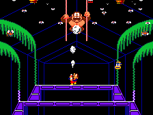 Donkey Kong 3