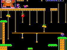Donkey Kong Junior