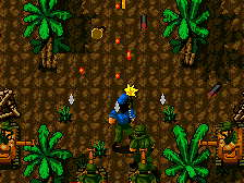Guerrilla War