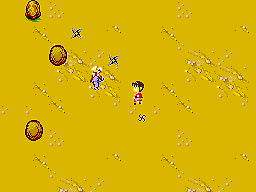 Sega Ninja