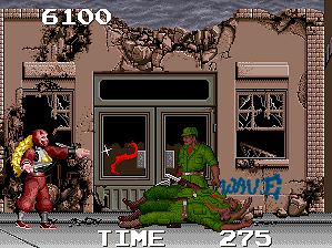 The Ninja Warriors