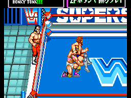 WWF Superstars