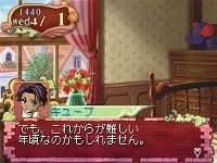 Princess Maker 4 DS Special Edition