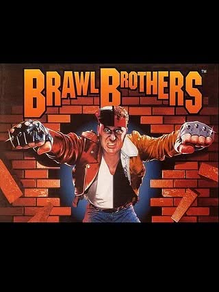 Brawl Brothers Cover Art