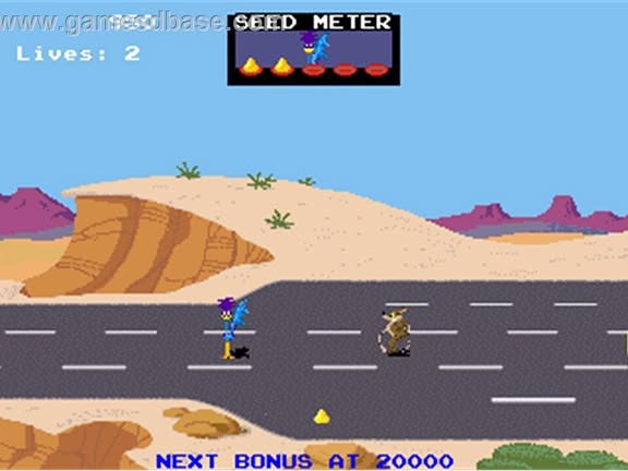 Road Runner