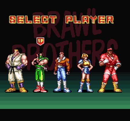 Brawl Brothers Screenshot 4