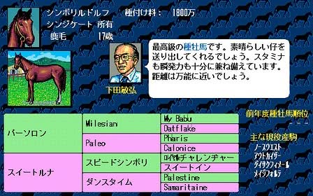 Winning Post Screenshot 4