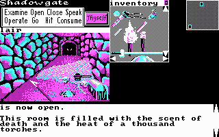 Shadowgate Screenshot 4