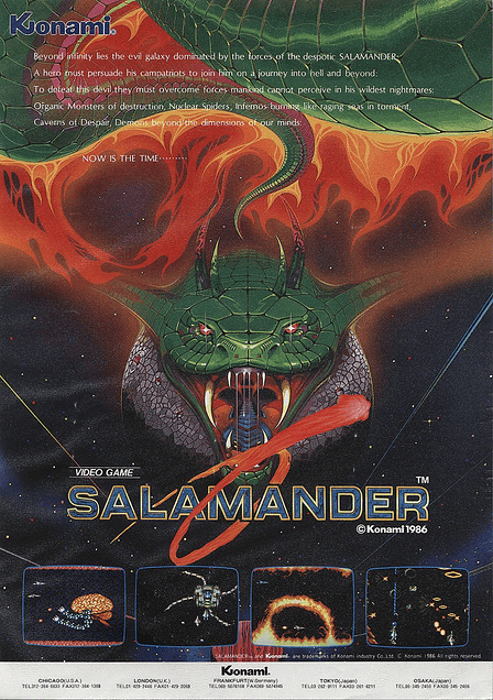 Salamander Artwork 2
