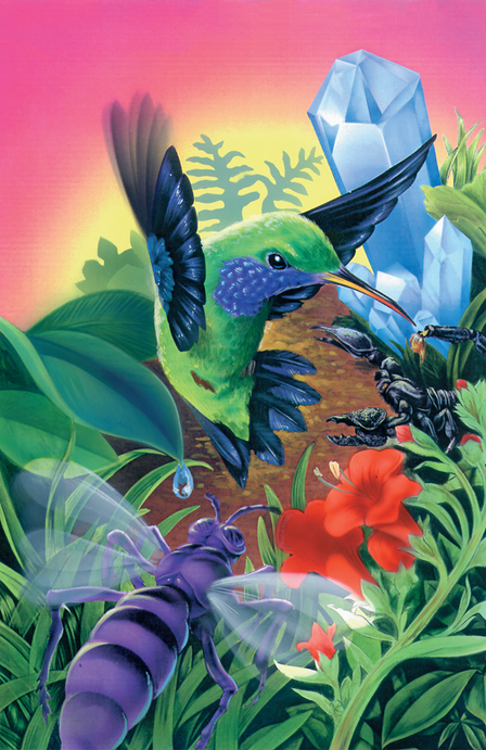Kolibri Artwork 1