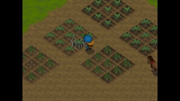 Harvest Moon 64 Screenshot 3