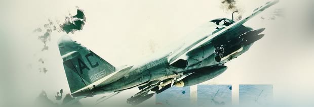 Flight of the Intruder Artwork 2
