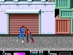 Double Dragon II: The Revenge