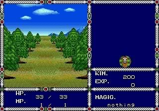 Sword of Vermilion Screenshot 6