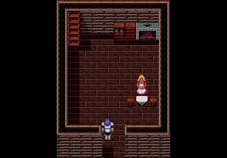Sword of Vermilion Screenshot 8
