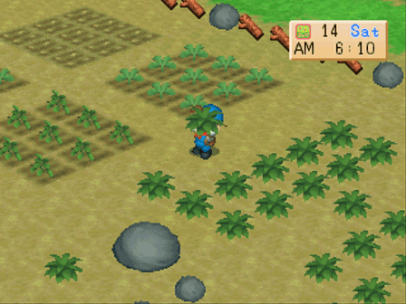 Harvest Moon: Back to Nature Screenshot 3
