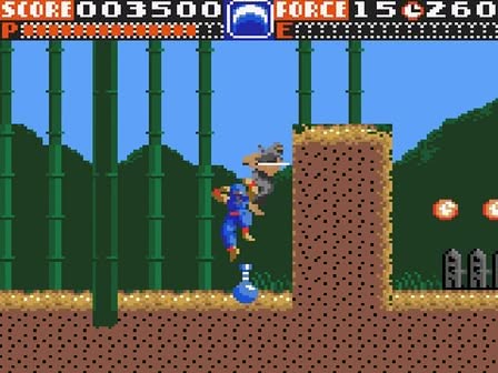 Ninja Gaiden Screenshot 2