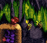 Donkey Kong Country Screenshot 2