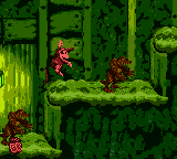 Donkey Kong Country Screenshot 4