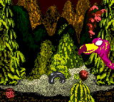 Donkey Kong Country Screenshot 6