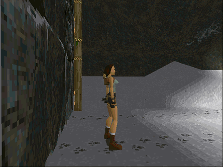 Tomb Raider Screenshot 4