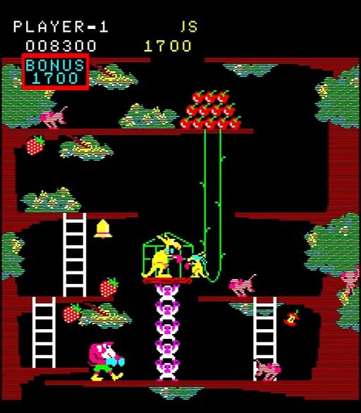 Kangaroo Screenshot 4