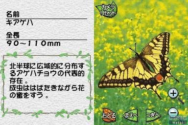 Screenshot 8 of Mushi! Machi no Konchuu Monogatari