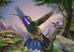Kolibri Screenshot 3
