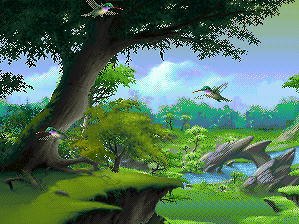 Kolibri