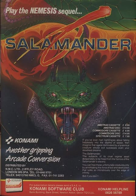 Salamander Artwork 2